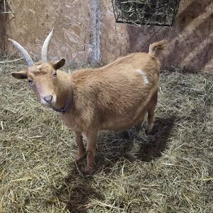 Get To Know Us- NOT FOR SALE